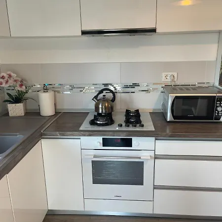 Venetia Apartament - * Timişoara