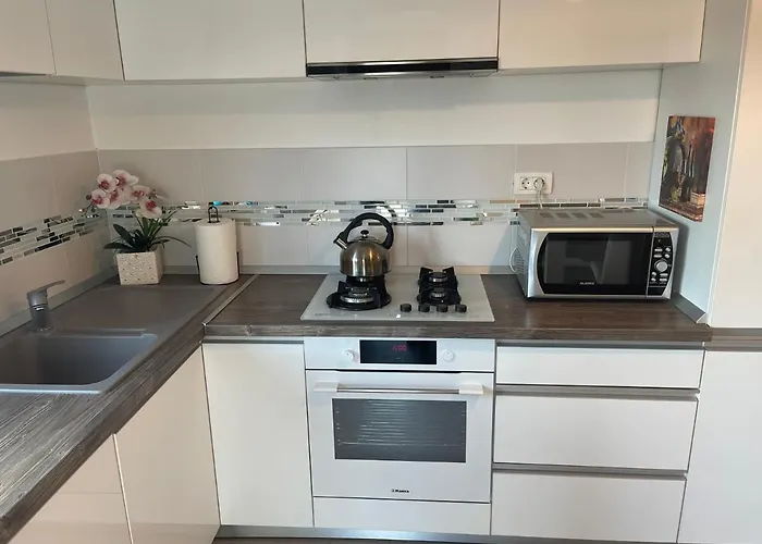 Venetia Apartament - * Temešvár