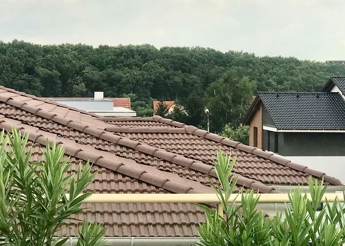 Venetia Apartament - Apartmán Temešvár