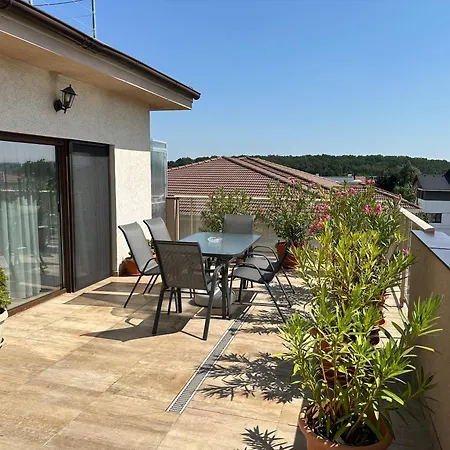 Venetia Apartament - * Timişoara